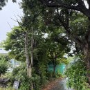 표선면 송천교 옆 이미지