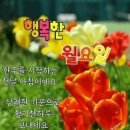 좋은글＞ 설니홍조 (雪泥鴻爪) 이미지