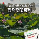 또봉이통닭 한라마을점 | 당진 합덕연꽃축제 2026 후기 연꽃과 능소화 개화상황부터 드론라이트쇼 홍진영 공연까지