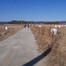 삼강경로당 이미지