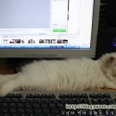 원투PC 이미지