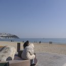 부산곰장어 이미지