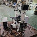 라이코스 이미지