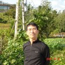 원영찬 Daum카페