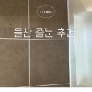 울산 줄눈 샤인에코디자인 내돈내산 화장실줄눈+걸레받이 실리콘