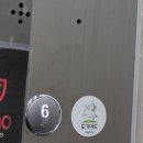 도기그루밍 이미지