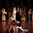 유니버설 발레단 <백조의 호수> 이미지