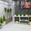 평생주치의 딱 좋은 치과의원 이미지