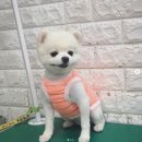 강사모백화점 이미지