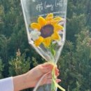 월가힐링 이미지