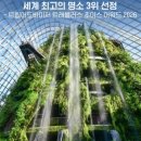 가든 오브 클라우드 네이버블로그