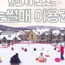 알펜시아리조트알펜시아스키장 네이버블로그