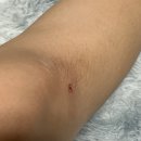 오렌즈 신논현점 이미지