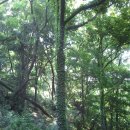 상현2농장 이미지