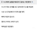 누나의 폭력성 실험 이미지