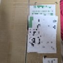 솔이몰 | 카에루몰이용후기31