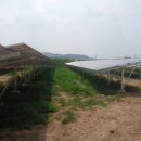 위드 태양광발전소 이미지