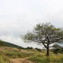 정영상회