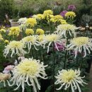 성환중학교 이미지