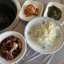 바다산장어 이미지