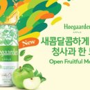 오늘밤 노가리 네이버블로그