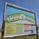 당진해양캠핑공원 캠핑장 삽교호 바다공원 수산시장 먹거리까지