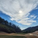 포라이즌 이미지