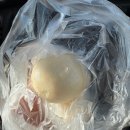 세븐일레븐 광주첨단과학단지점 | 광주 첨단 호빵 만두 맛집 통통만두 추억의 옛날 김밥까지 있는 곳