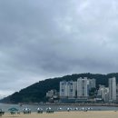 동구쇼핑 이미지