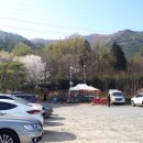 여수 진례산(510m) - 영취산(436.6m) : 연분홍 진달래 꽃물결 이미지