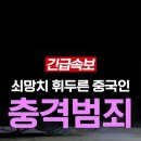 짱깨스탈은 이래도 짱깨 두둔하냐? 이미지