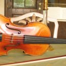 과르네리 이미지