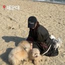 바른케어대전센터 이미지