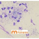 마음을 읽어주는 마음동물병원 이미지