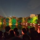 천아트(야간) | 2026 창경궁 물빛연화 야간개장 일정 예약 입장방법 대온실 총정리(작년 다녀온 후기 꿀팁)