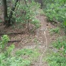 오금3리 이미지