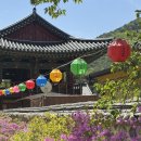 명지농원 | 울산울주군 배내골근처맛집 보양식 솥밭길꿩농원