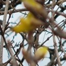 정상리 경로당 이미지