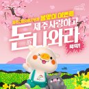 제주사랑 네이버블로그