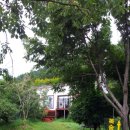 한나농장 이미지