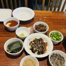 오싸이언스 | 대전 봉명동 양갈비 1티어 노마드 대만족하고 온 솔직후기