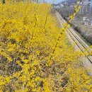 행복미소 주식회사