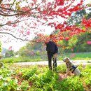 한국기행/ 단짝이라 좋아 - 제1부. 보약 같은 내 친구 ~ 5부. 스물다섯, 서툰 여행 이미지