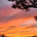 덕수콜택시 이미지