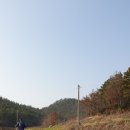 원호농장 티스토리