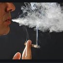 베어짐(BEAR GYM) 이미지