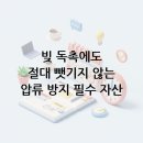 (주)동산실업 동산보청기 | 법적으로 보호받는 압류 방지 자산의 종류 총정리: 채무자의 생존권을 위한 필수 가이드