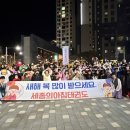 세종의 아침 태권도 이미지