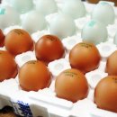 유정농장2 이미지