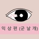 대전성모안과 이미지